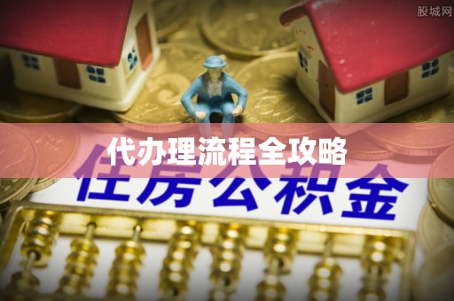 桃园代办理流程全攻略