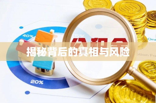 桃园揭秘背后的真相与风险
