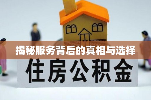 桃园揭秘服务背后的真相与选择