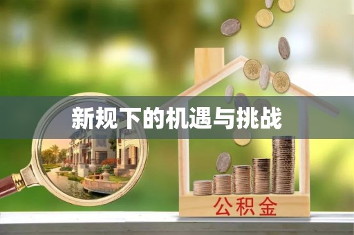 桃园新规下的机遇与挑战