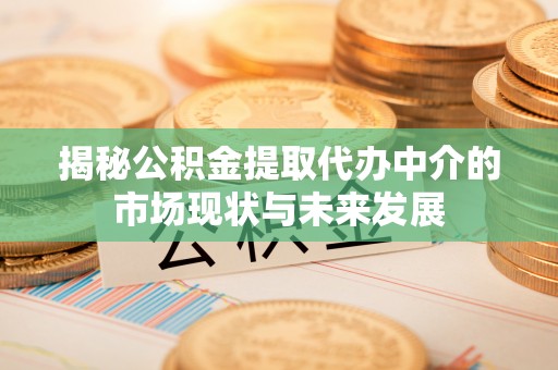 桃园揭秘公积金提取代办中介的市场现状与未来发展