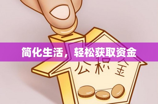 桃园简化生活，轻松获取资金