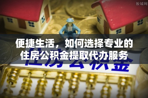 桃园便捷生活，如何选择专业的住房公积金提取代办服务