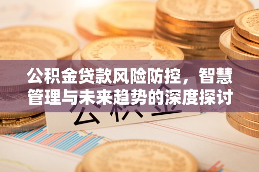 桃园公积金贷款风险防控，智慧管理与未来趋势的深度探讨