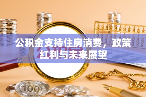 桃园公积金支持住房消费，政策红利与未来展望