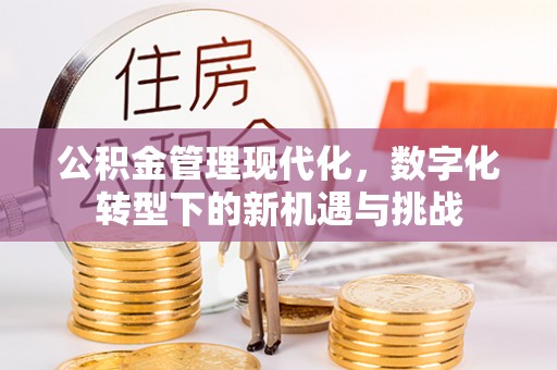 桃园公积金管理现代化，数字化转型下的新机遇与挑战
