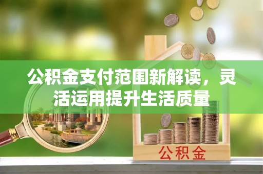 桃园公积金支付范围新解读，灵活运用提升生活质量