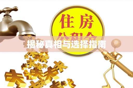 桃园揭秘真相与选择指南