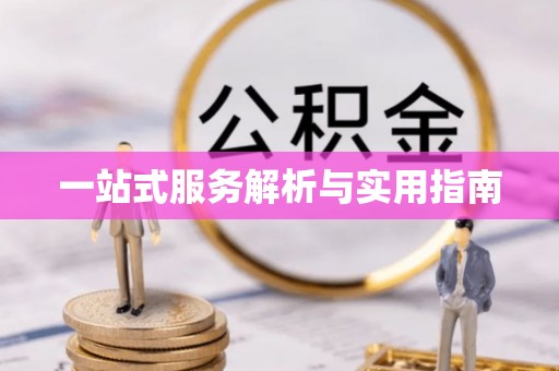 桃园一站式服务解析与实用指南