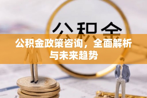 桃园公积金政策咨询，全面解析与未来趋势